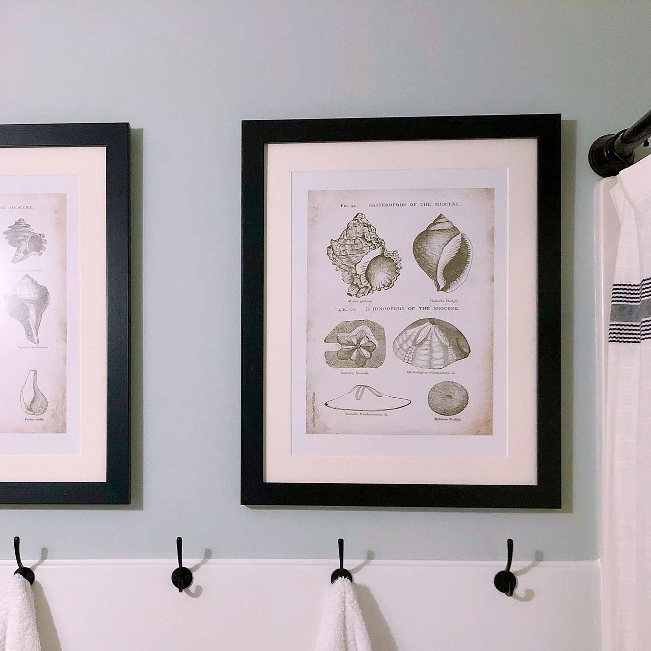 shell art frame