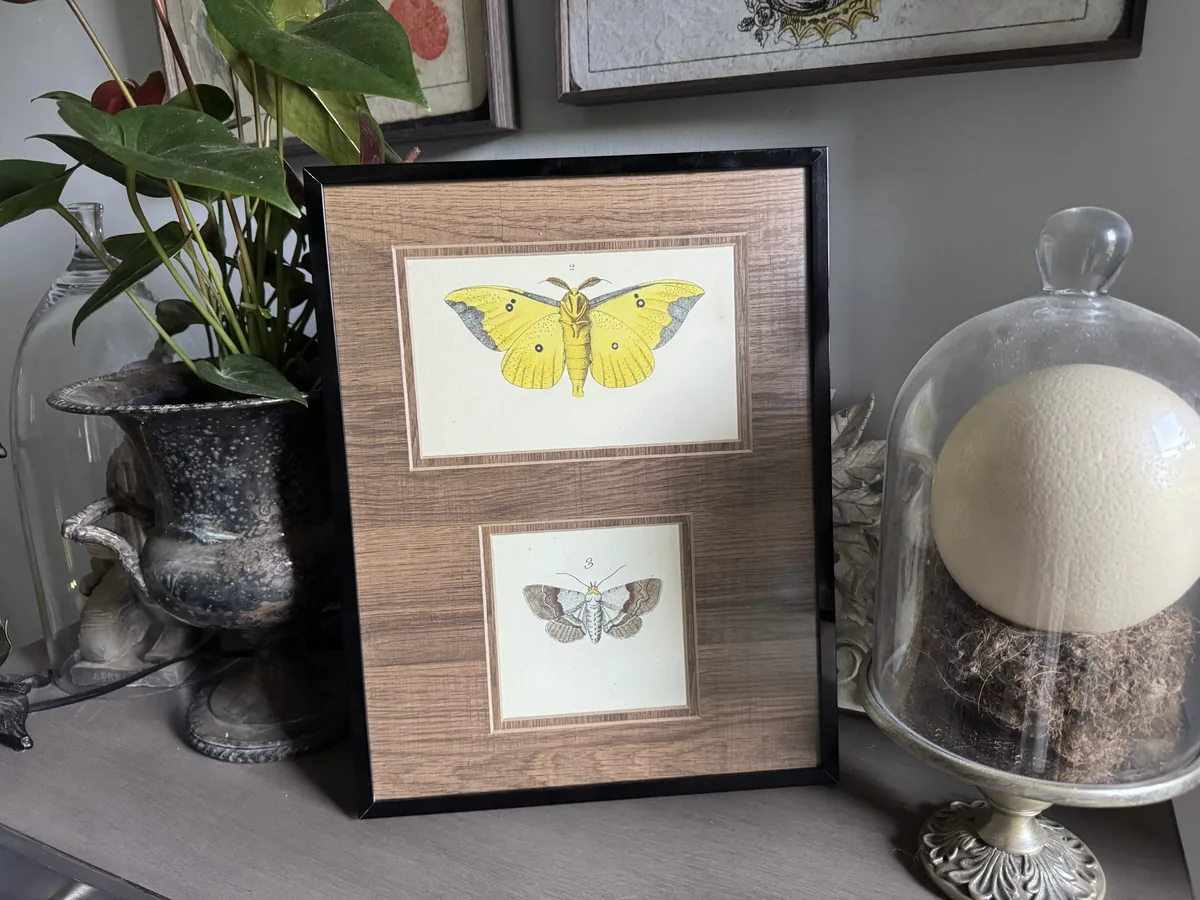 Collage frame of butterfly illustrations with a wood-tone matboard