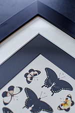 Picture frame with double matting