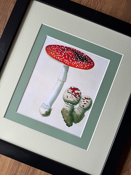 picture frame with double matting