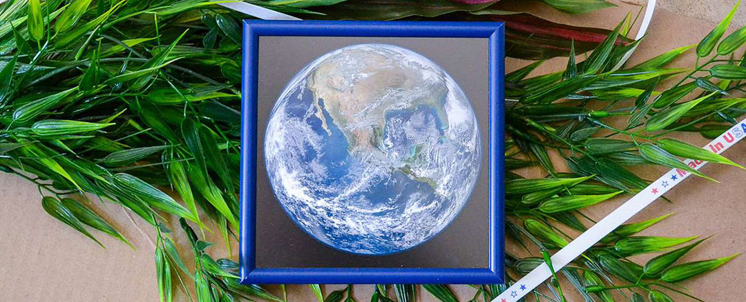 Planet Earth photo inside blue metal frame with plant