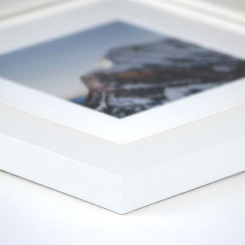 Dayton in White Side