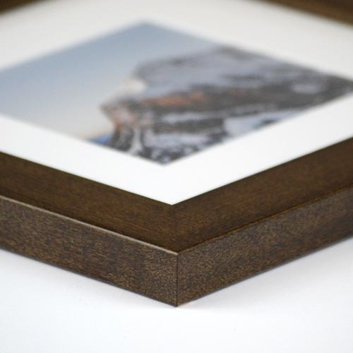 Dayton in Cocoa Side