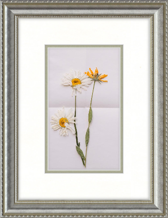 pressed flower in silver ornate frame