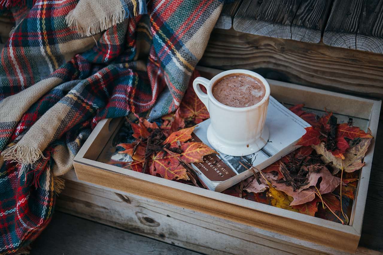 plaid blanket with fall drink