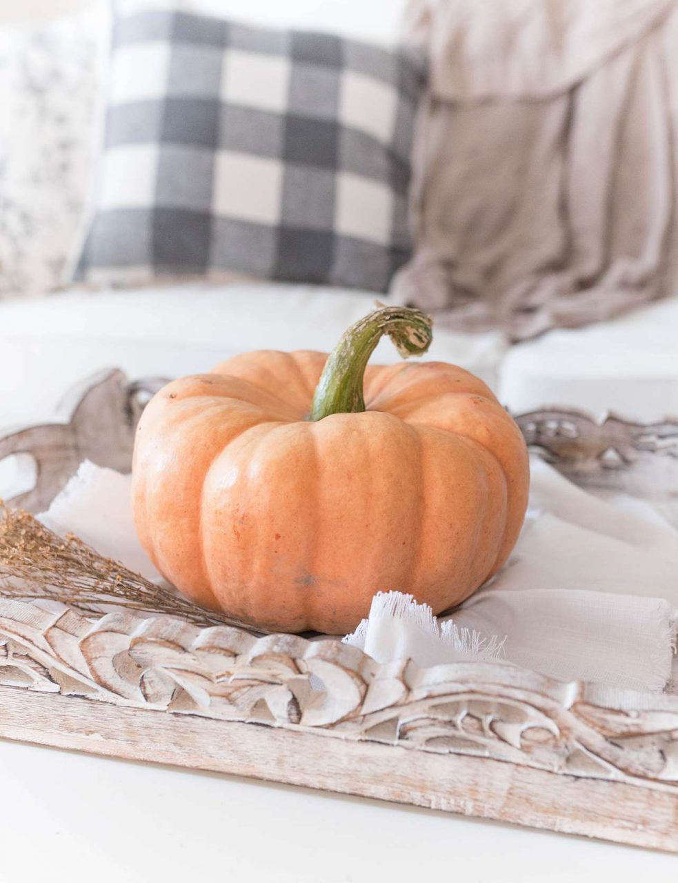 autumn pumpkin and plaid pillow