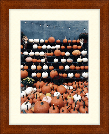 Fall art print - orange and white pumpkins - Dayton In Umber with antique white matting