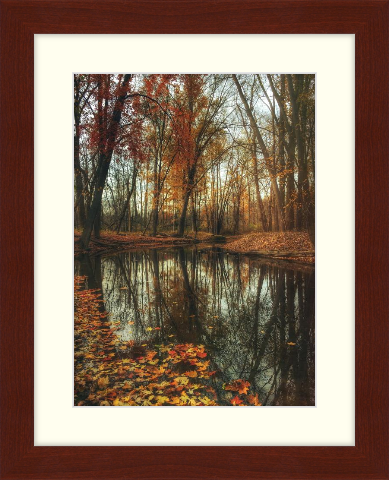 Fall art print - autumn leaves around pond - Derby in Cherry with Cloud Matting