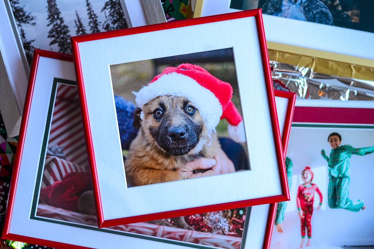 dog with santa hat red frame