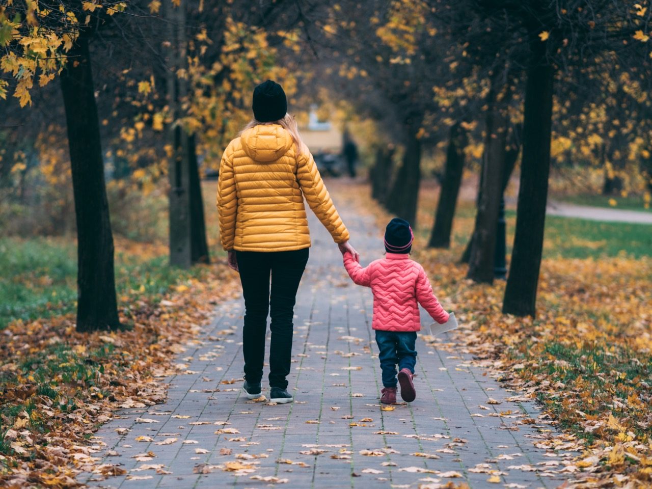 walking in the park 