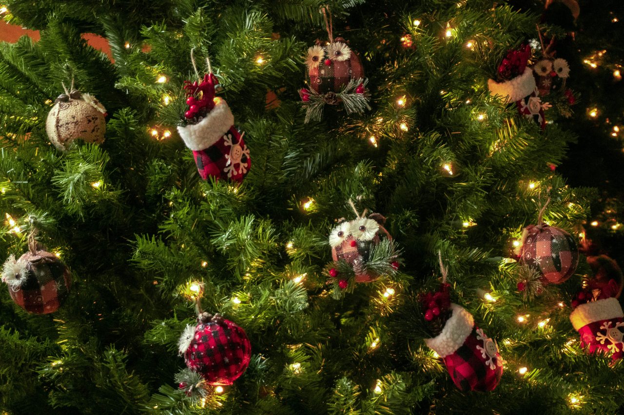 Ornaments on a tree