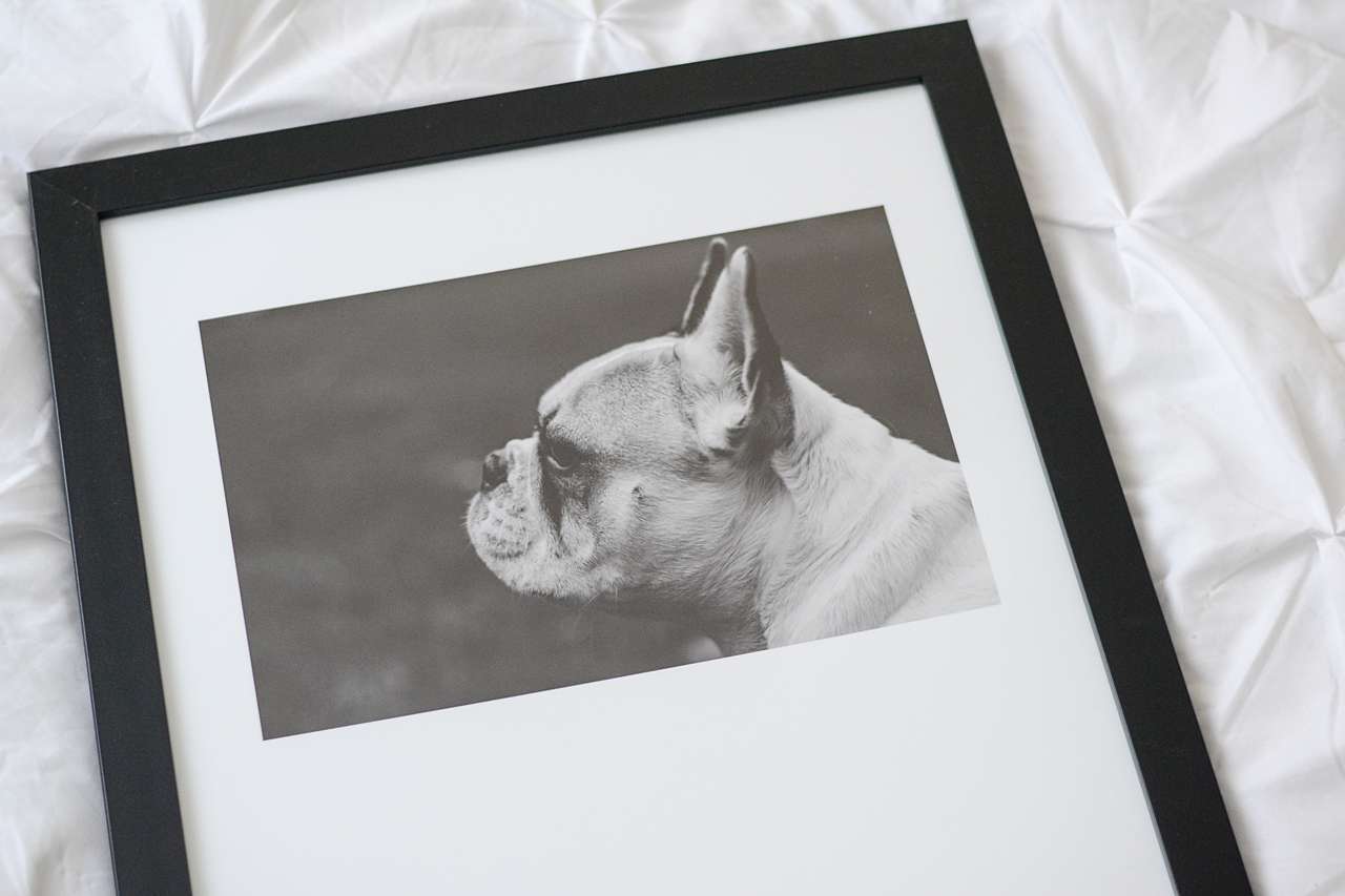 The Best Framed Gifts To Show Your Love - Furry Friends