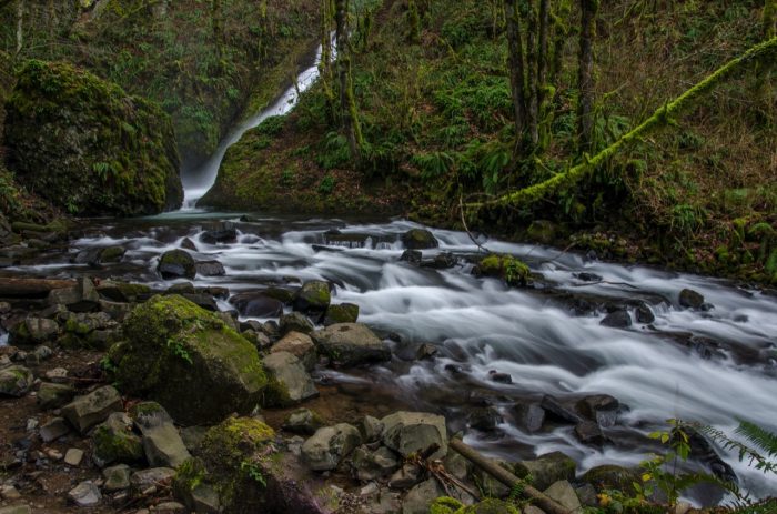 Nature Photography: A babbling brook. 
