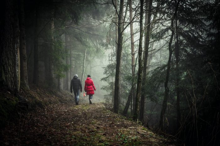 Nature Photography: Taking a nature walk!