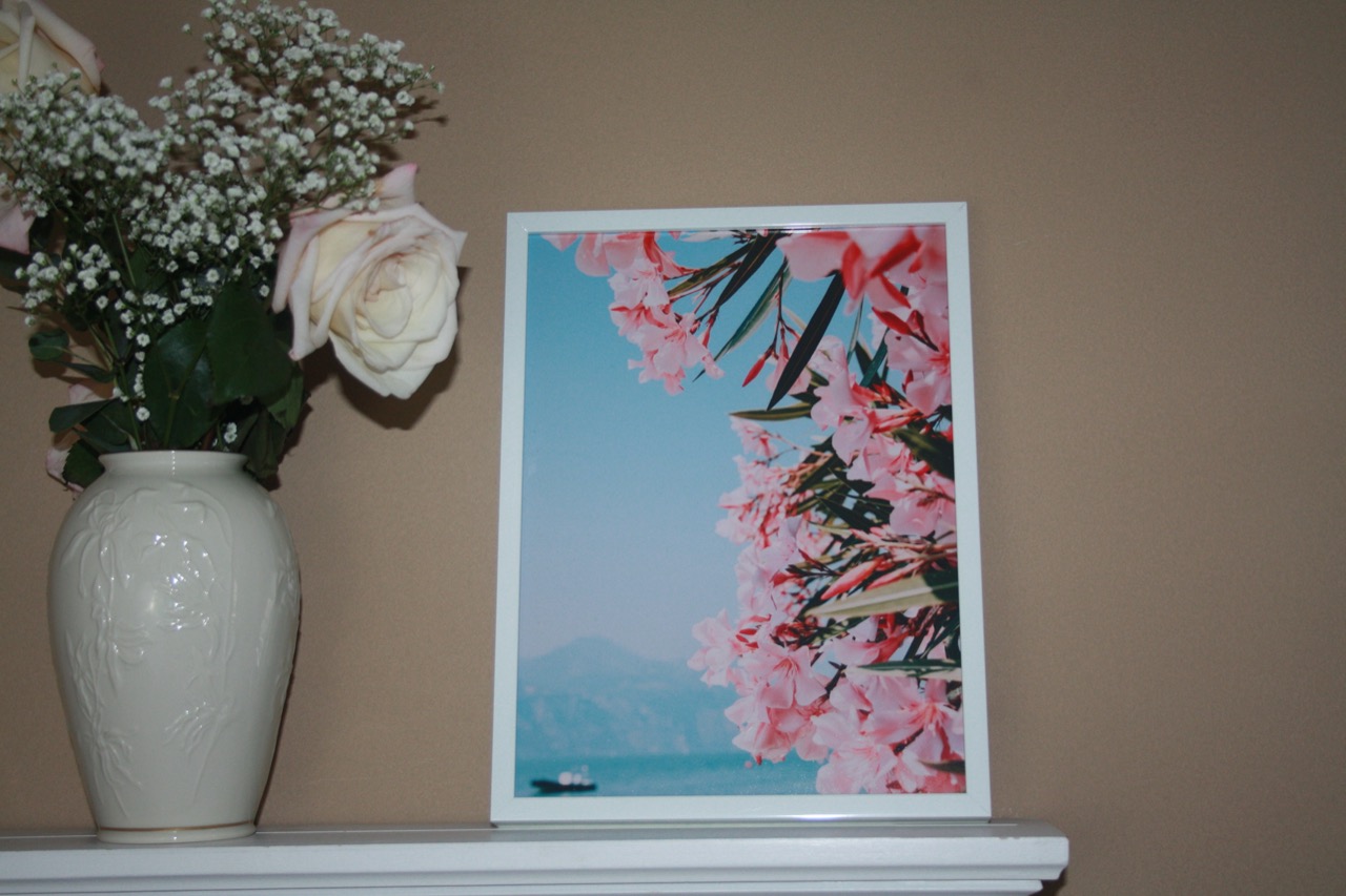 framed close up of flowers