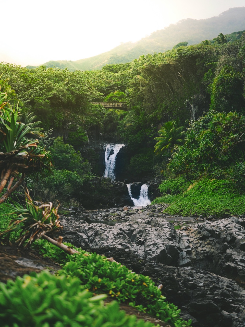 Hiking trails in Hawaii 