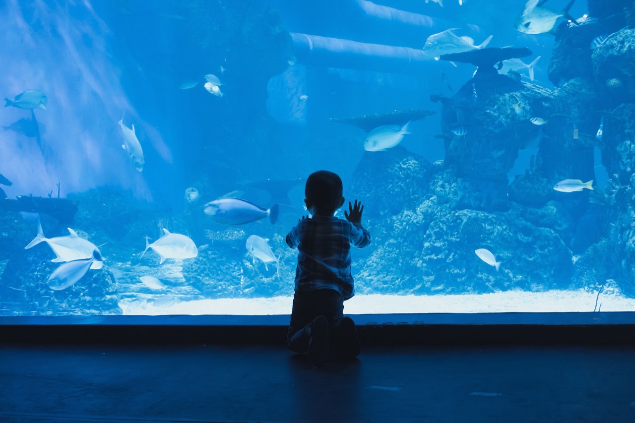 Aquarium