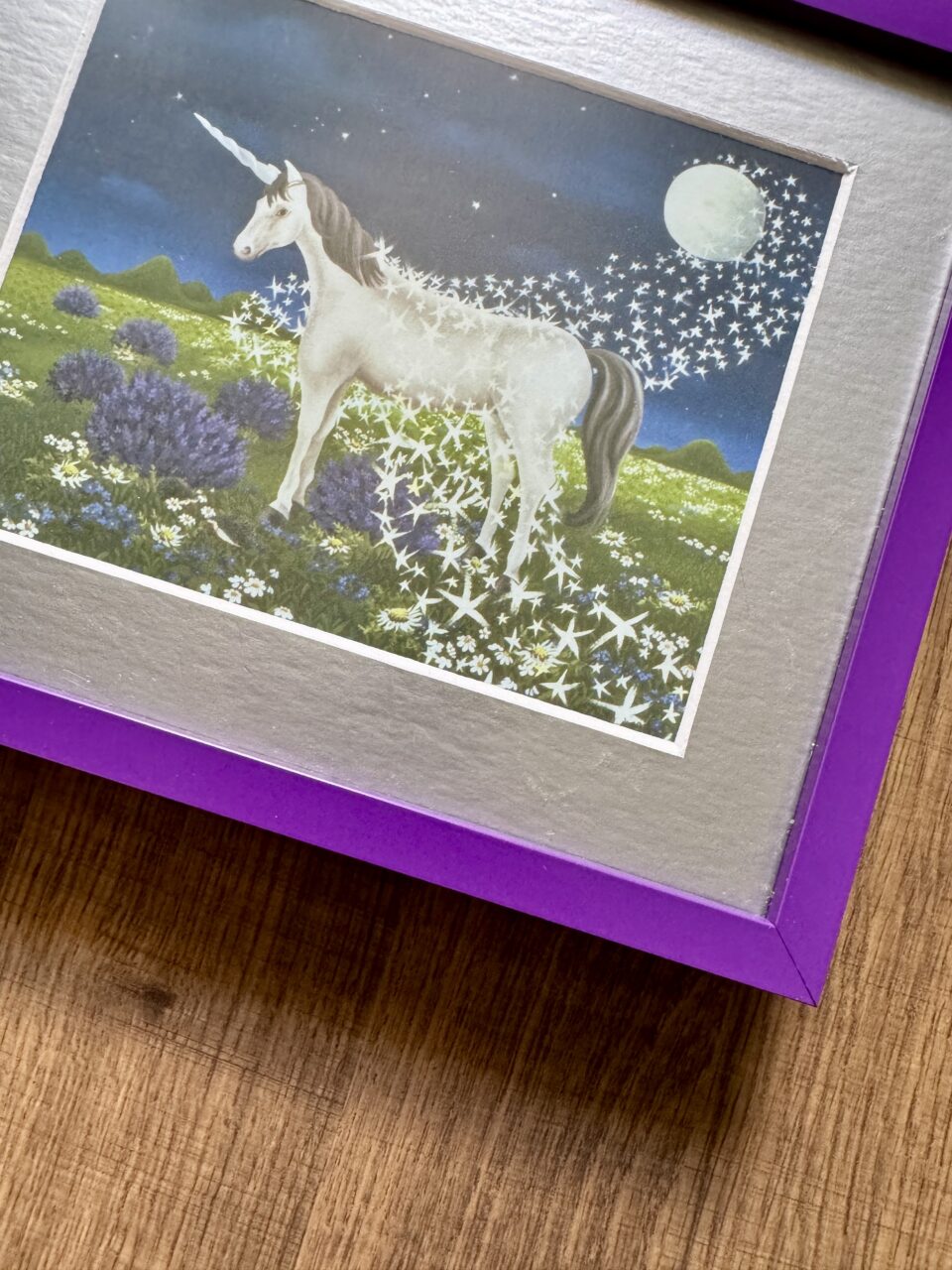 Custom Picture Frames — Ideas For Adding Matboards 12 IMG 6616 1