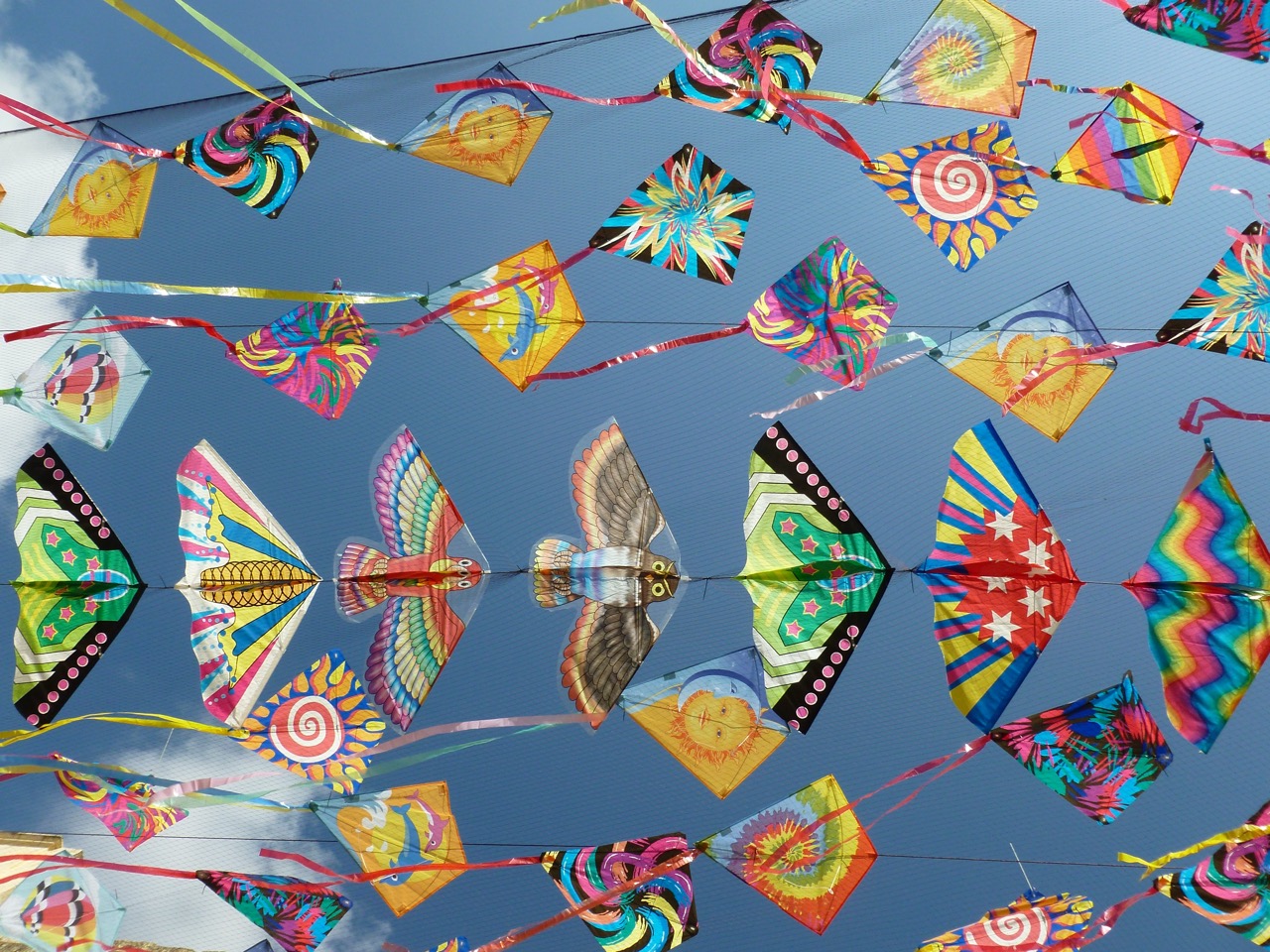 Kite Fest