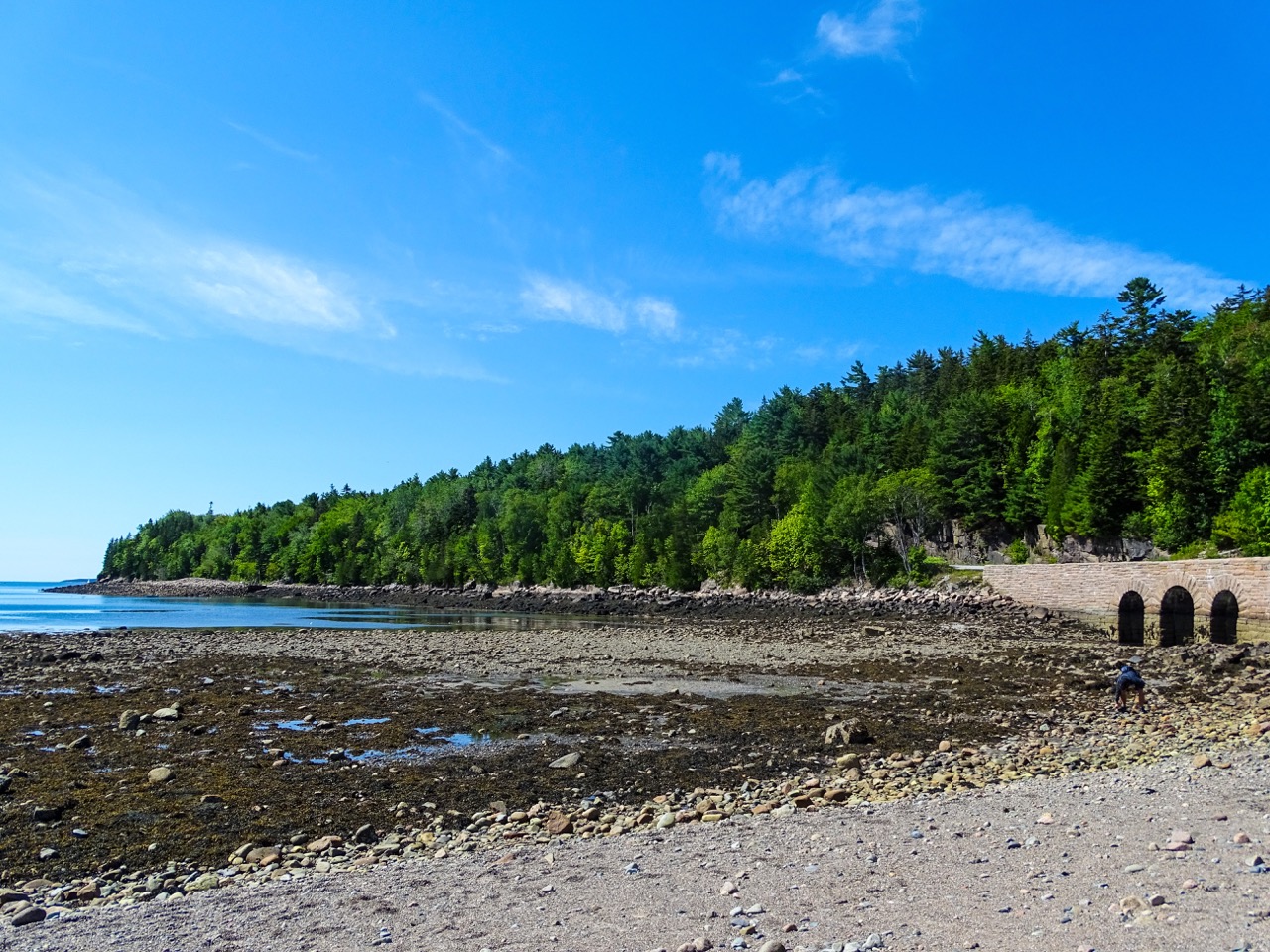Acadia National Park