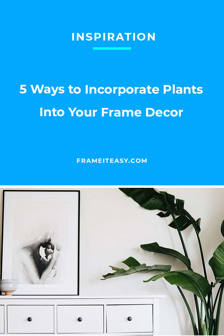 5 Ways to Incorporate Plants Into Your Frame Decor