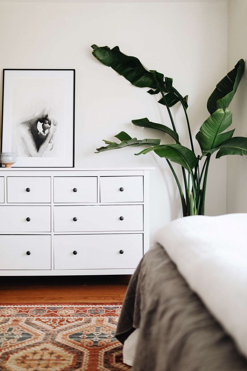 bedroom decor with plants 