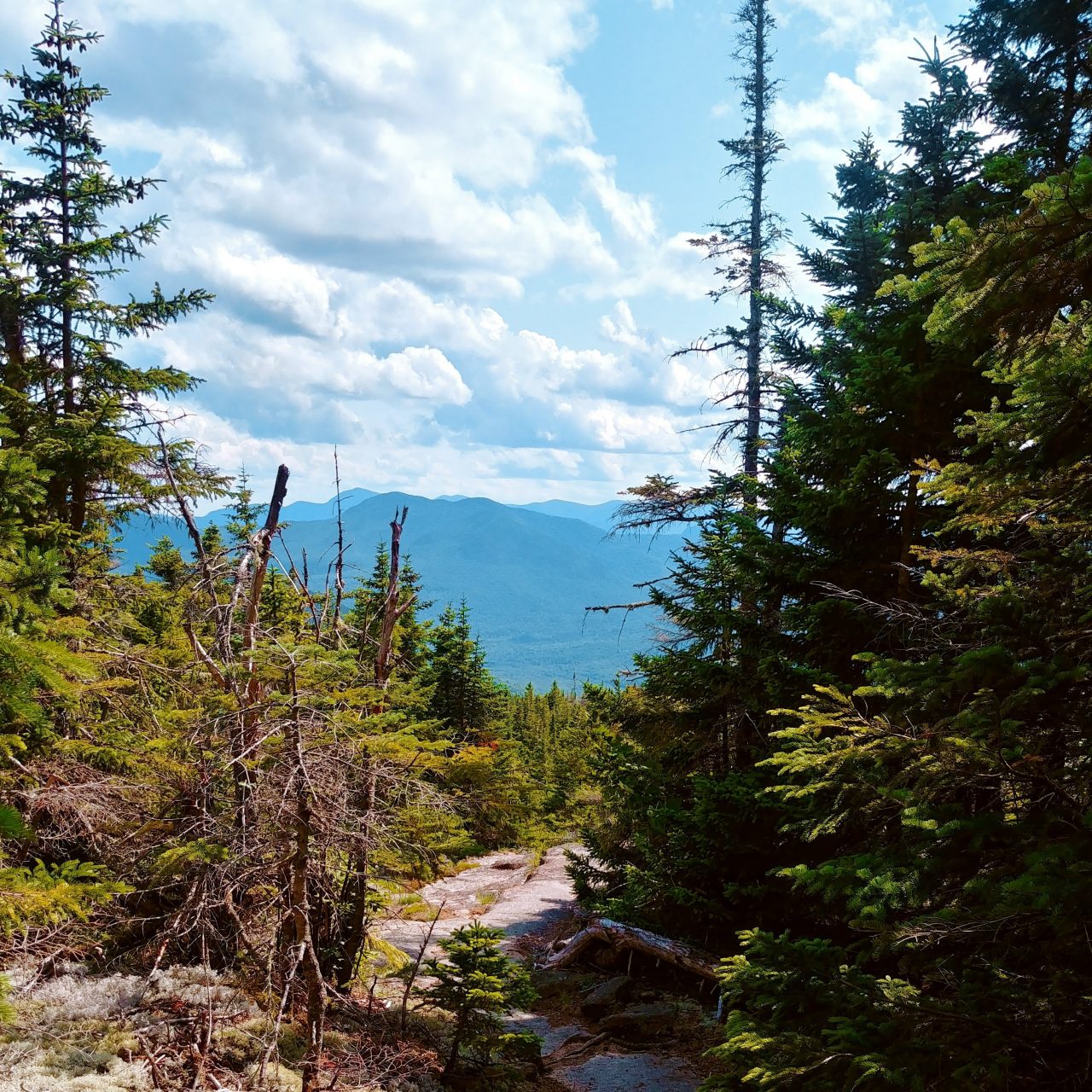 Top of mountain in New Hampshire