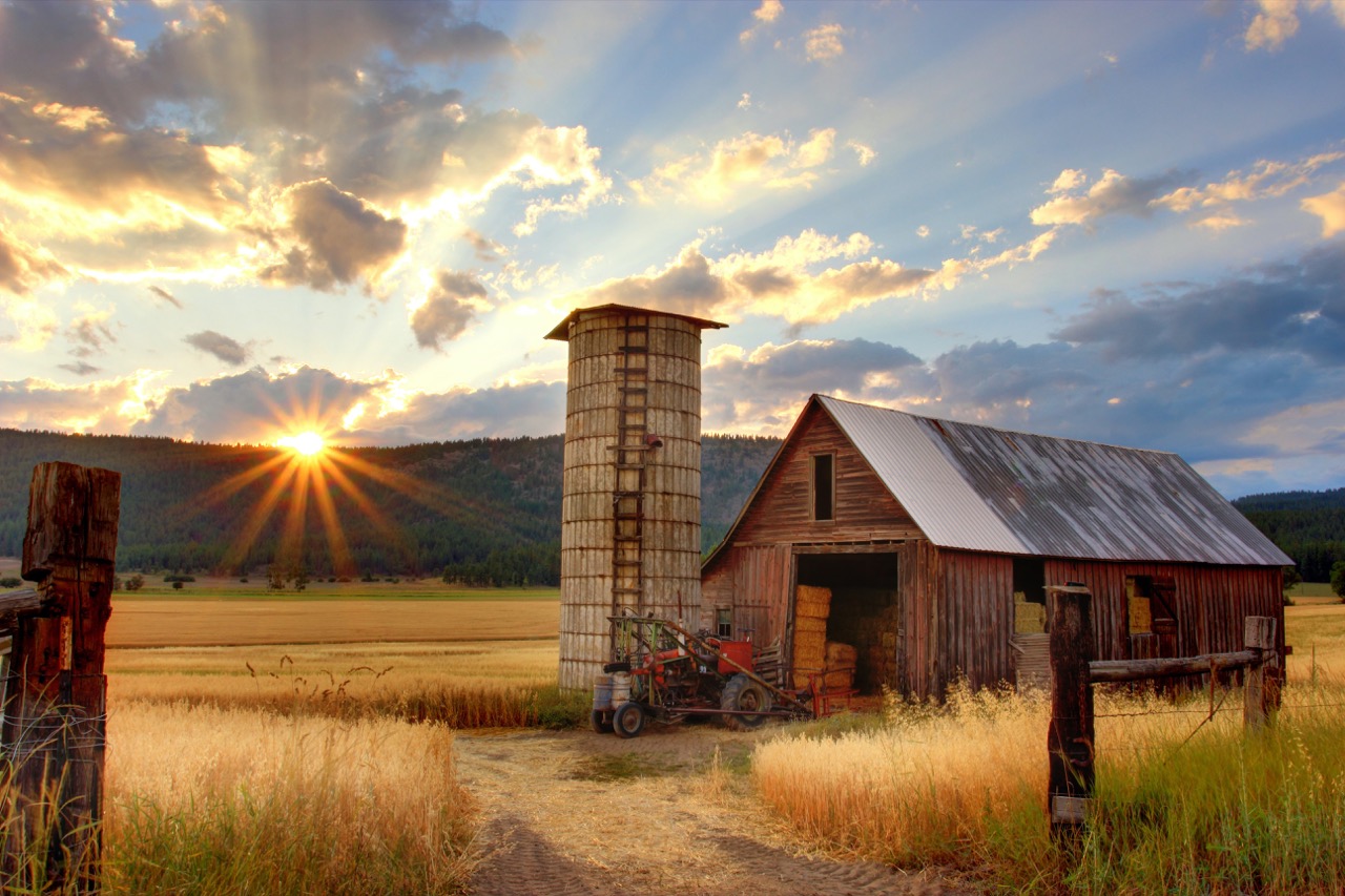 Photo of a farm. 