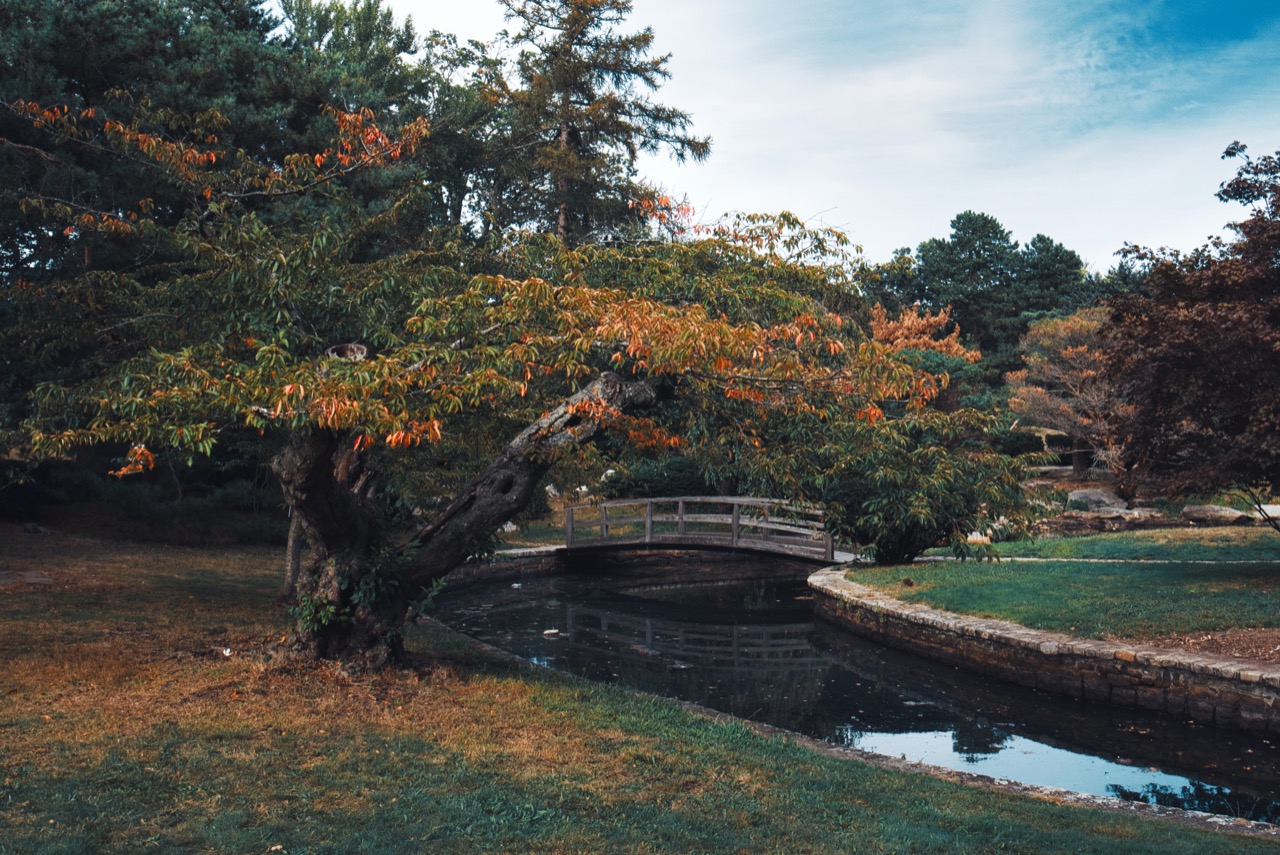 Roger Williams Park