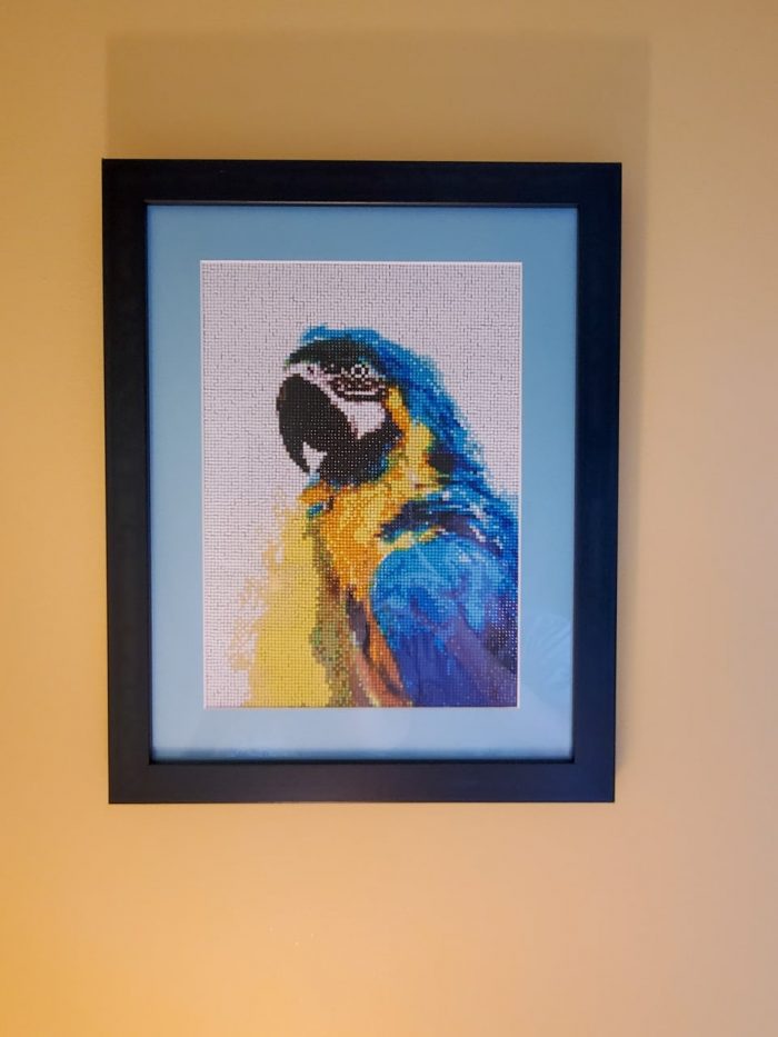 Diamond Painting Framing: a colorful parrot