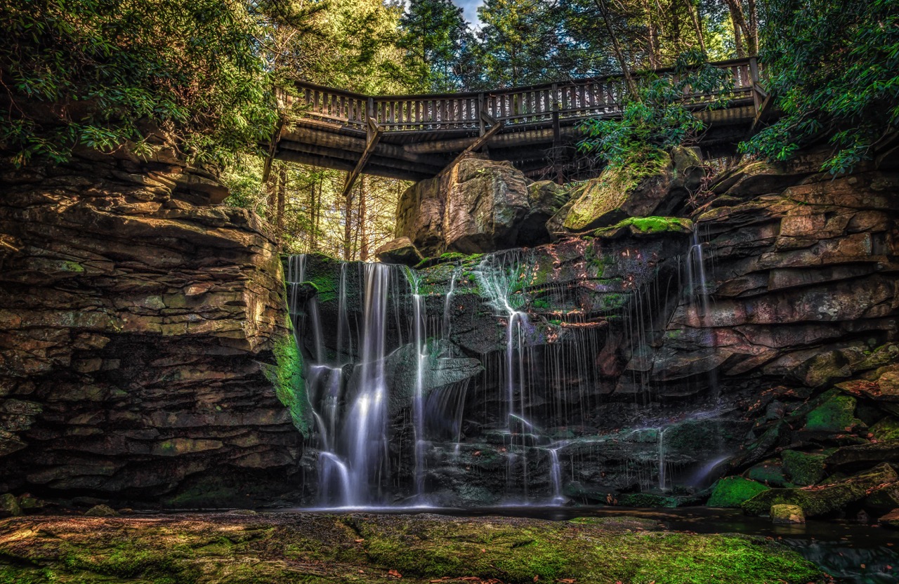 waterfall in park
