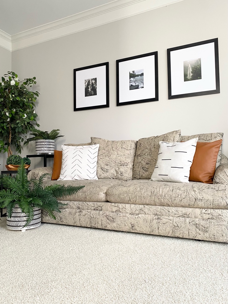 living room decor with plants 