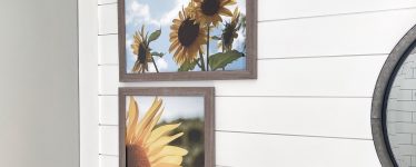 sunflower framed prints