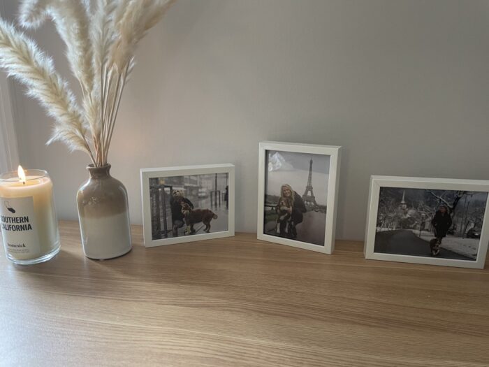 Cubicle Shelf small framed photos 