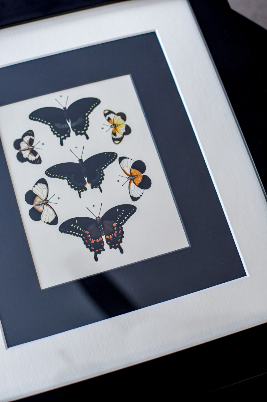 Choosing The Perfect Matboard Color For Your Framing Project 3 black and white double matting