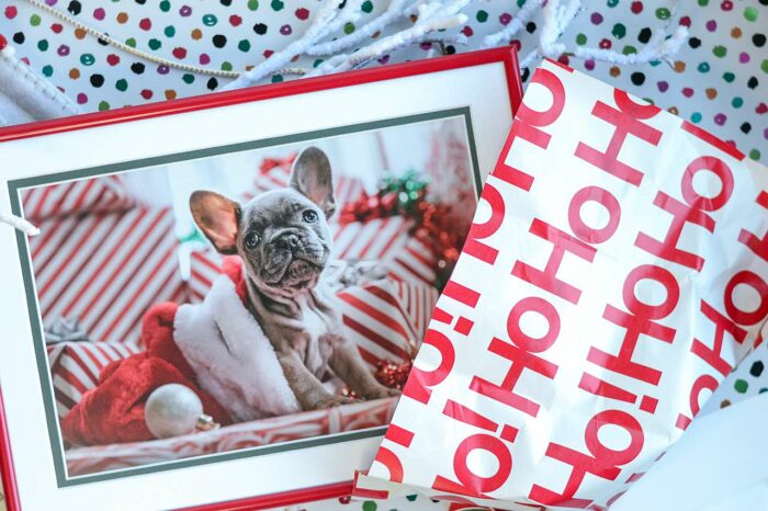 Corporate Holiday Gifts: A framed picture of a puppy with Christmas decor 