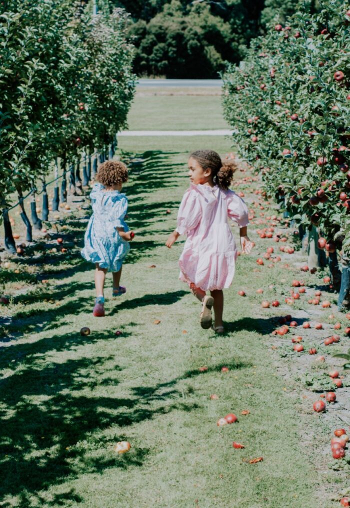 apple picking