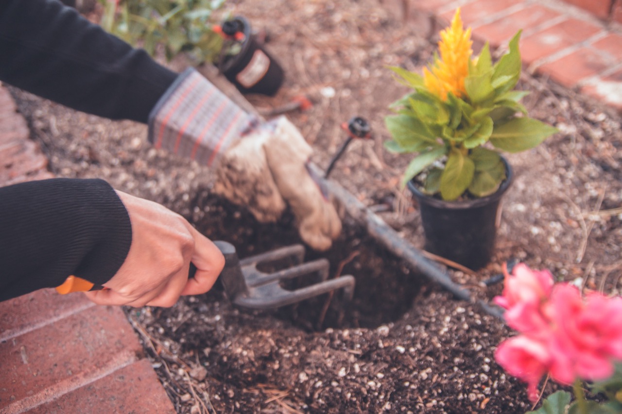 Creating A Custom Frame For Your Seasonal Memories 15 planting flowers