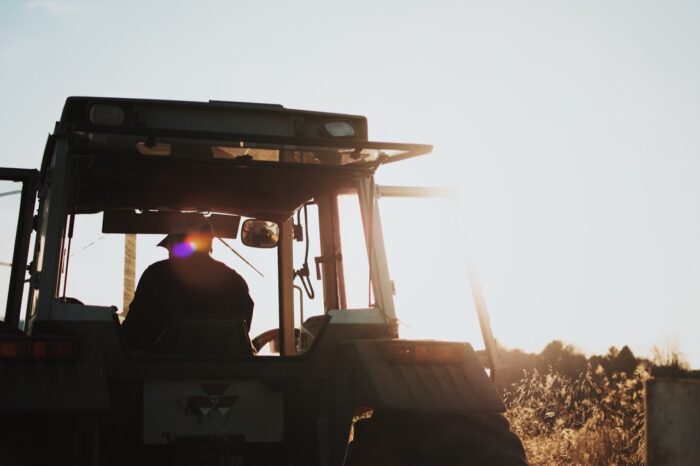 hayrides