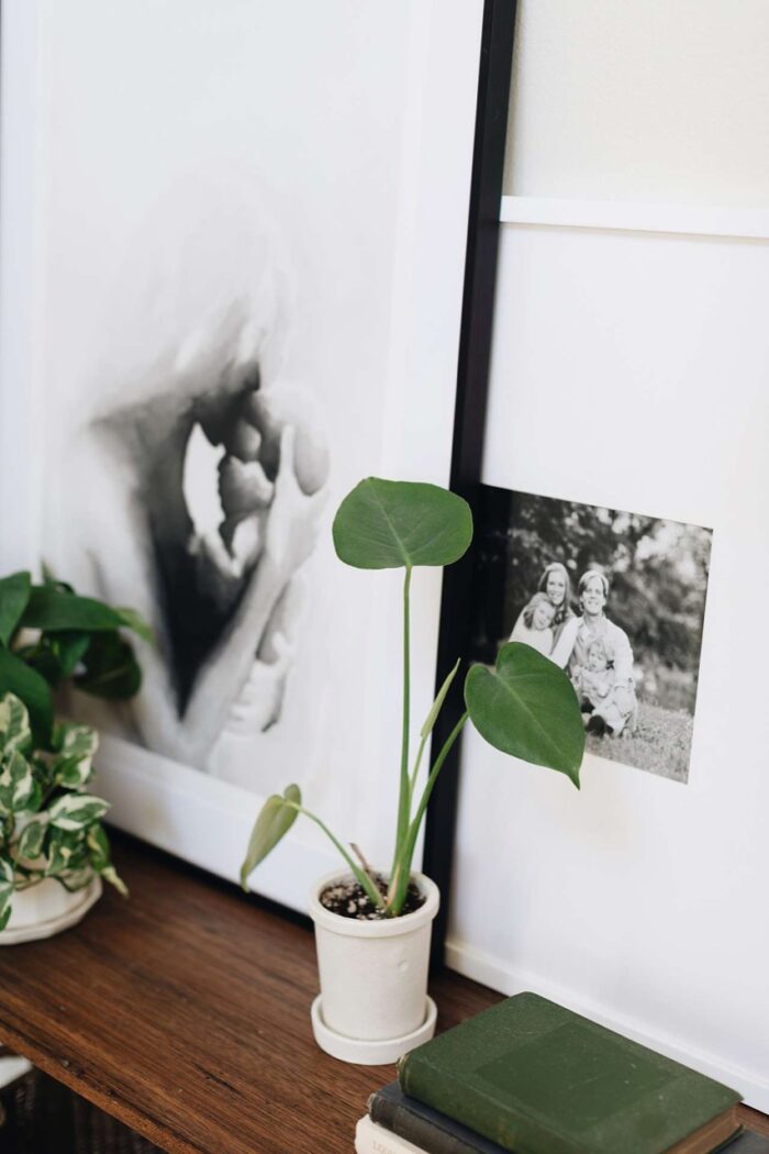 Adding Earth Tone Colors To Your Home Decor - If you are a full-blown plant parent or just have a few plant babies, adding olive green to your walls or in your furniture will coordinate nature and style together.