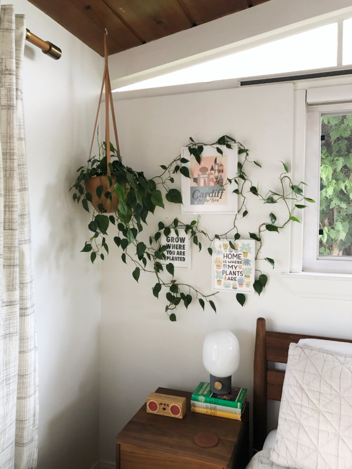 4 Basics For Boho Bathroom Decor- A hanging plant is a perfect place to start your Boho decor journey! 
