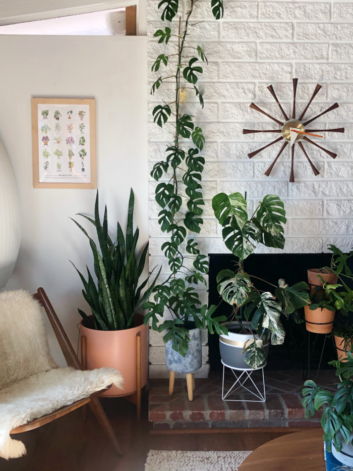 The Ultimate Renter Decor Guide: Damage Free Hanging - A living room with a green thumb!