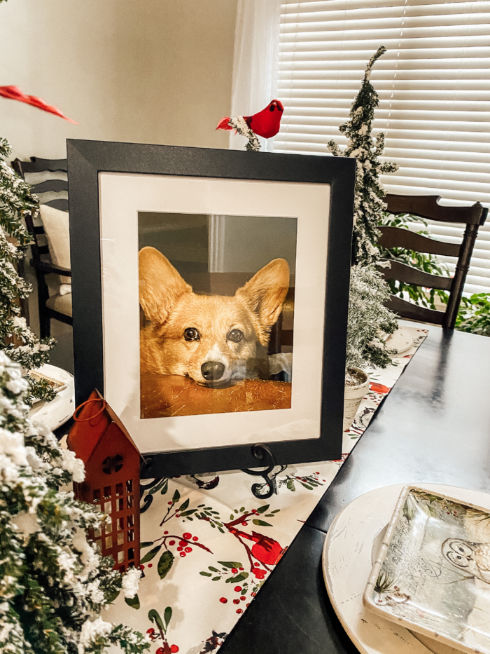 Framed photo of a pet in an employee break room during the holidays