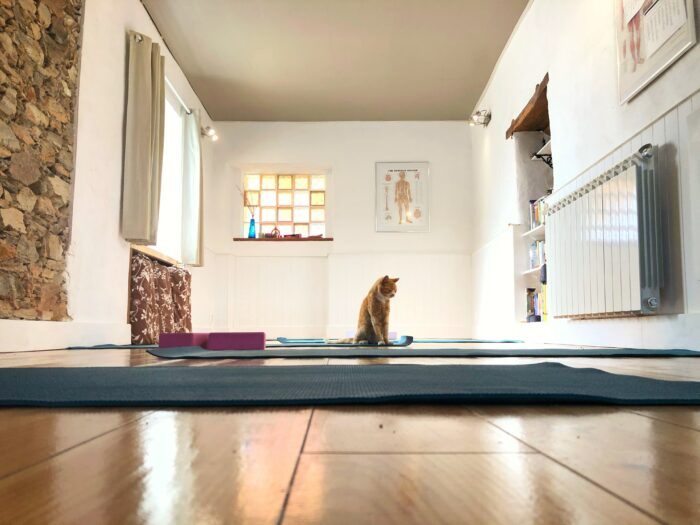 Yoga Room Decor - A furry friend may bring comfort to some and may annoy others, consider your desired level of privacy when creating a practice space.