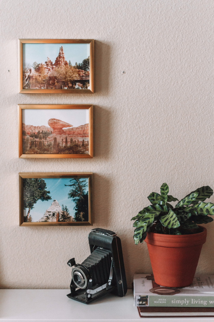 Southwestern decor: Framed desert landscape photos with a potted plant and a vintage camera.