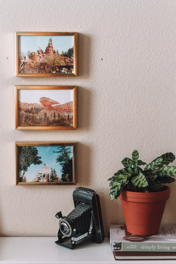 Photo Wall Ideas: Three framed photos of nature