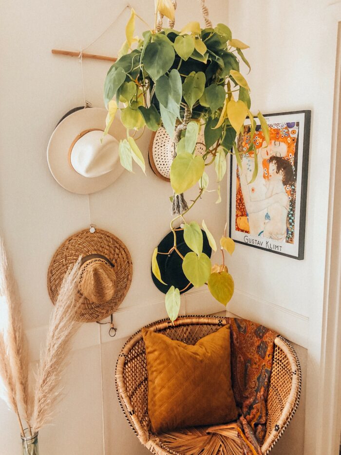 Book Nooks & Reading Corners: A small corner space with hanging plants and a hat rack. 