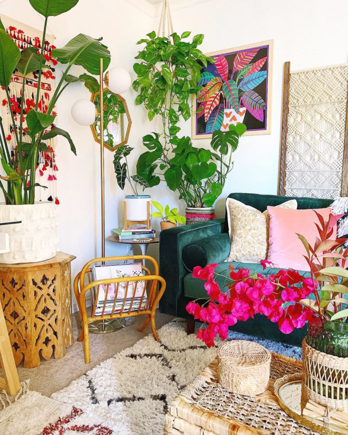 Plants and framed art prints in an eclectic room.
