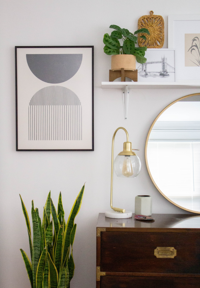 Midcentury modern decor with snake plants and a framed art print.