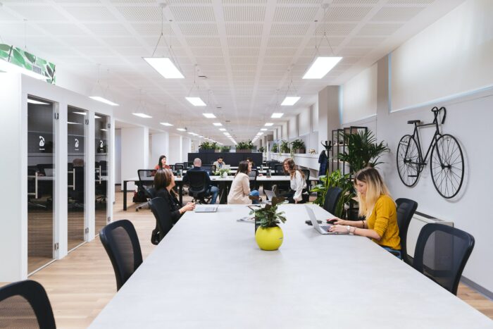 Bright conference room design with plants and decor.